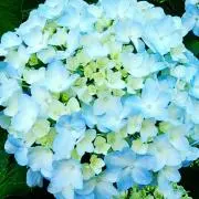 Good★vibration☽・:*の画像