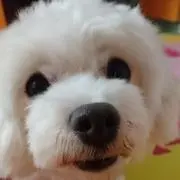rmfpの画像
