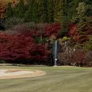 Nobbyの画像