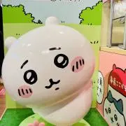 メープルの画像