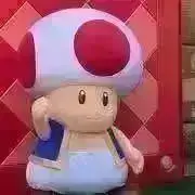 Y'NAYの画像