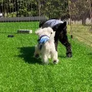 きよ