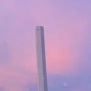 クルルの画像