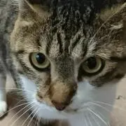 み。の画像