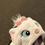ぴょの画像
