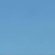 Dの画像