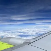 うにゅの画像