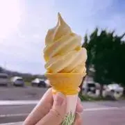 うしの画像