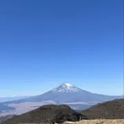 かほ
