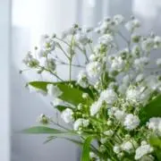 Mayu*(プロフ必読)の画像