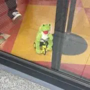 えさの画像