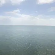 ルナの画像