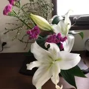 Cristyの画像