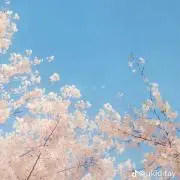 a♡の画像