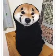 aoiの画像