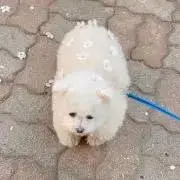 m.a.の画像