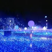 てったの画像