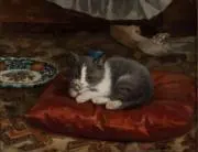 Noahの画像
