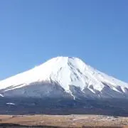 はちゅんの画像