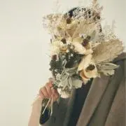 独 楽の画像
