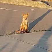 ゆりさママ