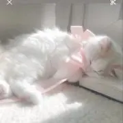♡