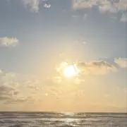 Hanaの画像
