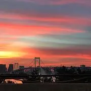 Rの画像