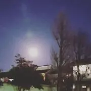 サチの画像