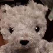 こいけの画像