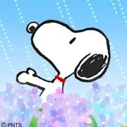 suzuの画像