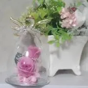 Koharuの画像
