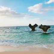 mm.u_u81の画像