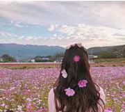 ❀malonちゃん❀の画像