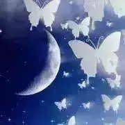 月歌の画像