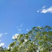 ぽむぽむぷうの画像