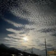 masaの画像