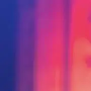 SHSHの画像