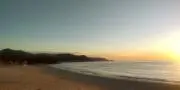 rinoの画像