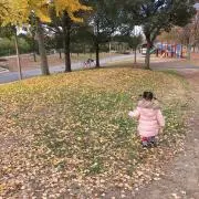 くまひこ⭐️の画像