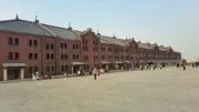 kimuの画像