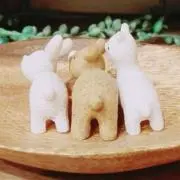 ミニモグコ