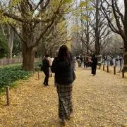 鎌田のあ