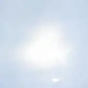 かえで