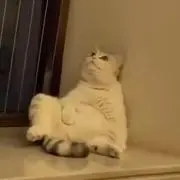 honey_nuts