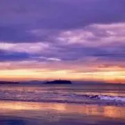 佐藤君の画像