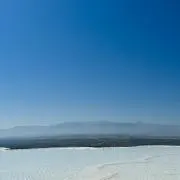 さはらの画像