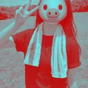 たなの画像