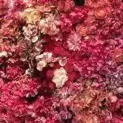 s♡の画像