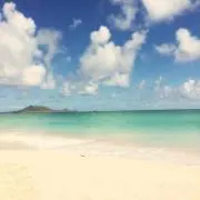 maro◉プロフィールお読みくださいの画像